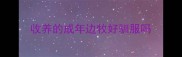 收养的成年边牧好驯服吗