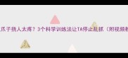 边牧爪子挠人太疼3个科学训练法让TA停止乱抓附视频教程