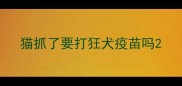 猫抓了要打狂犬疫苗吗