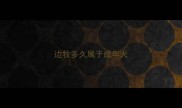 边牧多久属于成年犬