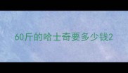 60斤的哈士奇要多少钱