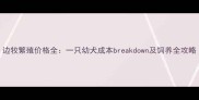 边牧繁殖价格全一只幼犬成本breakdown及饲养全攻略