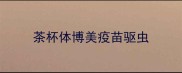 茶杯体博美疫苗驱虫