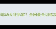 5个月萨摩耶幼犬狂拆家全网最全训练攻略来了