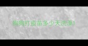 狗狗打疫苗多少天洗澡