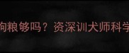 泰迪犬只吃狗粮够吗资深训犬师科学喂养全攻略