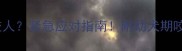 两个月大狗狗爱咬人紧急应对指南附幼犬期咬人训练全攻略