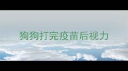 狗狗打完疫苗后视力