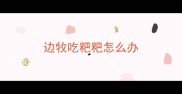 边牧吃粑粑怎么办
