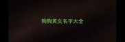 狗狗英文名字大全