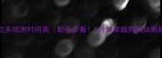 拉布拉多排泄时间表新手必看5分钟掌握狗狗如厕规律