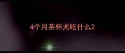 4个月茶杯犬吃什么