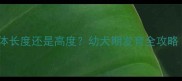 边境牧羊犬先长身体长度还是高度幼犬期发育全攻略附科学训练法