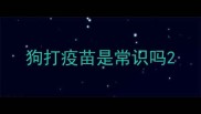 狗打疫苗是常识吗