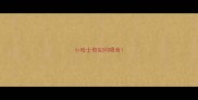 小哈士奇如何喂食