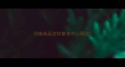 河南良品边牧繁育中心网站