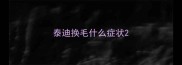 泰迪换毛什么症状