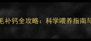 四个月金毛补钙全攻略科学喂养指南与常见误区