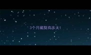 3个月藏獒有多大