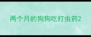 两个月的狗狗吃打虫药