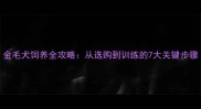 金毛犬饲养全攻略从选购到训练的7大关键步骤