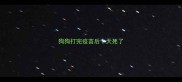 狗狗打完疫苗后十天死了