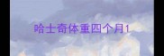 哈士奇体重四个月