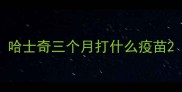 哈士奇三个月打什么疫苗