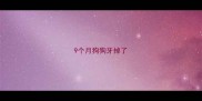 9个月狗狗牙掉了