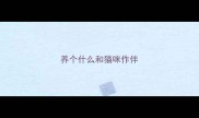 养个什么和猫咪作伴