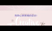 狗狗心肺衰竭的症状