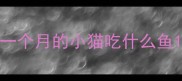 一个月的小猫吃什么鱼