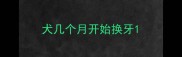 犬几个月开始换牙