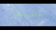 小狗鼻子又干又凉