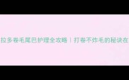 拉布拉多卷毛尾巴护理全攻略打卷不炸毛的秘诀在这里