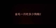 金毛一月吃多少狗粮