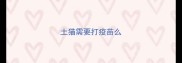 土猫需要打疫苗么