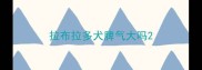 拉布拉多犬脾气大吗