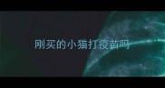 刚买的小猫打疫苗吗
