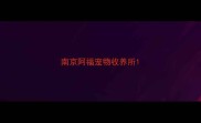 南京阿福宠物收养所