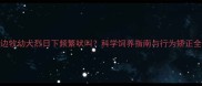 边牧幼犬烈日下频繁吠叫科学饲养指南与行为矫正全