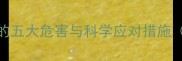 狗狗幼犬不接种疫苗的五大危害与科学应对措施附疫苗接种时间表