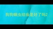 狗狗螨虫结痂是好了吗