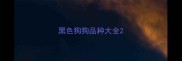 黑色狗狗品种大全