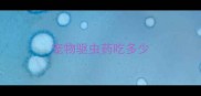 宠物驱虫药吃多少