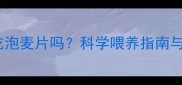 哈士奇可以吃泡麦片吗科学喂养指南与营养风险全