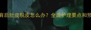 猫咪绝育后肚皮脱皮怎么办全面护理要点和预防措施