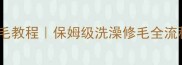 泰迪犬自己修毛教程保姆级洗澡修毛全流程附避坑指南