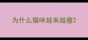 为什么猫咪越来越瘦