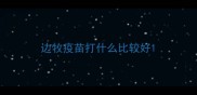 边牧疫苗打什么比较好
